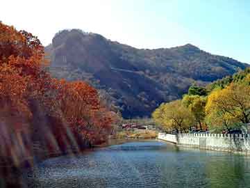 新澳门二四六天天彩，氨水价格